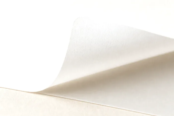 Macro close-up of a blank white label peeling in a curl from its translucent liner, the layers separating at the point of focus.